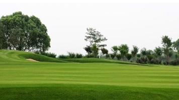 �����ƺ�r(ji��)��Ӱ�����֮�����ƺ�ײ�